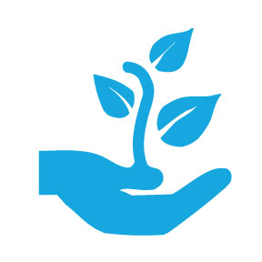 Alternative Break student participants