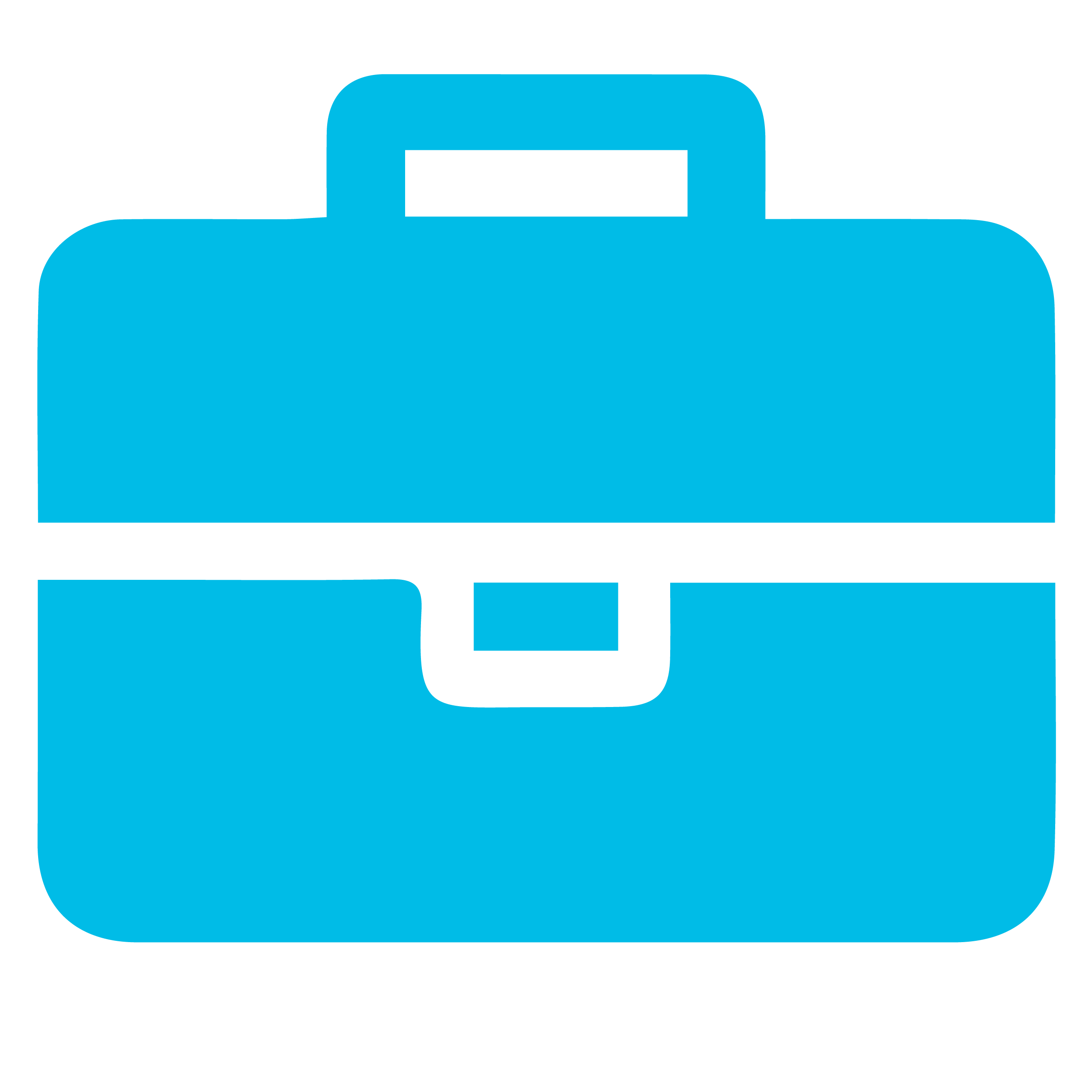 Briefcase